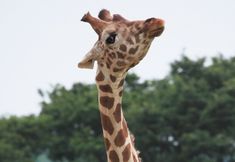 기타 2 New Sunpia Himeji Yumesaki