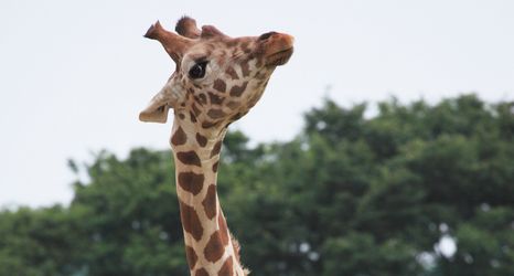 기타 2 New Sunpia Himeji Yumesaki