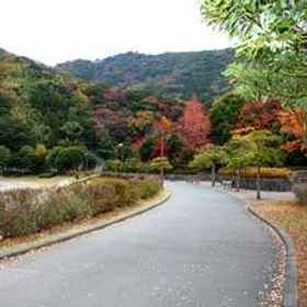 Tokubei 1, Hotel Higashiizu Town Hall