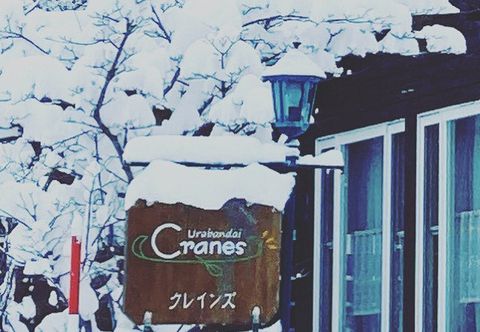 Others Workshop & Inn Urabandai Cranes