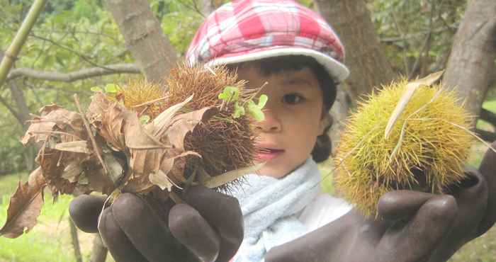 Others Yuyama Onsen Ichifusa Kanko Hotel