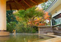 Others 2 Yunoyama Onsen Yumoto Green Hotel