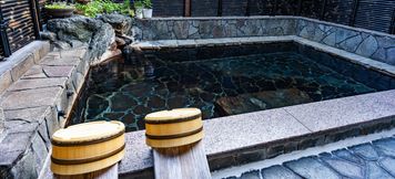 Others 5 Totsukawa Onsen Village Ebisusou