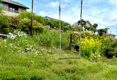 Lain-lain 6 Isola Izukogen