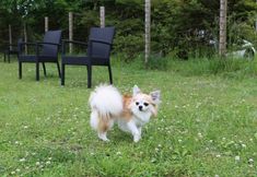 Others 5 Point Vacation Hakone