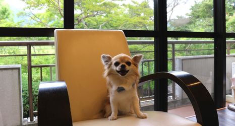 Others 2 Point Vacation Hakone