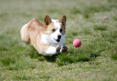 Others 7 Point Vacation Hakone