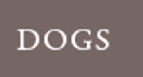 Others 2 La Dog Resort