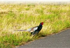 Lain-lain 4 Honjo Grand Hotel