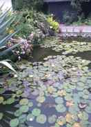 null Water Lily Garden B&B