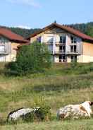 null Apartment With one Bedroom in Xonrupt-longemer, With Wonderful Mountain View - 10 km From the Slopes