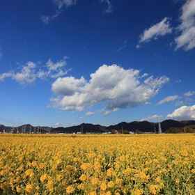 Kamenoi Hotel Kamogawa 1, Hotel Minshuku Takatsurusanso