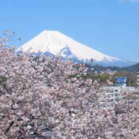 Izu Nagaoka Onsen Kameya Ean 1, Khách sạn Ga Kannami