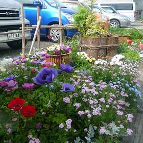 Minshuku Fujiya <Hyogo> 1, Hotel Mikata-gun