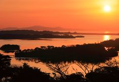 기타 5 Maple Terrace