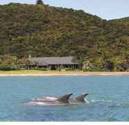 Exterior 4 Pawhaoa Bay Lodge