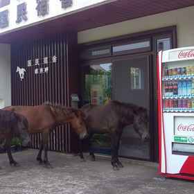 Toimisaki Kokuminshukusha1 , 飯店小林市