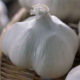 Bade Park Avance Fukuchi 1, Hotel Tsurugasaka Station