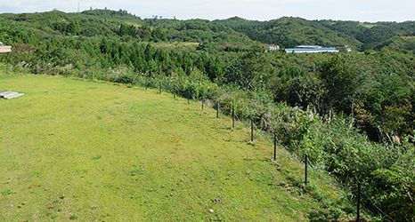 其他 2 Tategamori Kogen Hotel