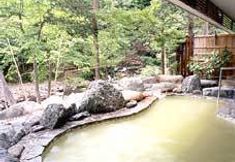 Others 5 Shiobaramotoyu Onsen Hitonoyu Gensenkan