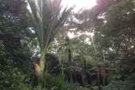 Ruang untuk Umum The Coromandel Treehouse