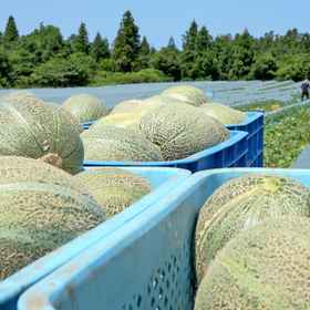 Oga Onsen Yukemuri Resort Oga Hotel1 , 飯店由利本庄市