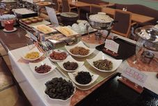 Others Bichotan no Yu Hotel Grand Terrace Chitose