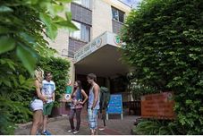 Lain-lain Glebe Point Yha