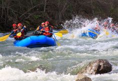 Others 7 Niseko Central Powder Tracks
