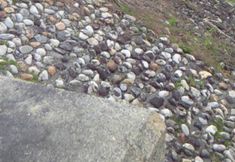 Lain-lain 3 IKEDA Lifekan Hakuba Apartment 103