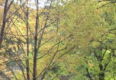 Lain-lain 4 IKEDA Lifekan Hakuba Apartment 103