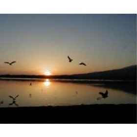 Kanazawaya Ryokan (Sadogashima) 1, Hotel Shibata-shi