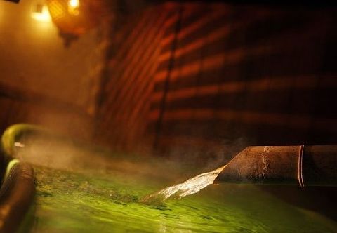 其他 Kaminoyama Onsen Hanaakari no Yado Tsukinoike
