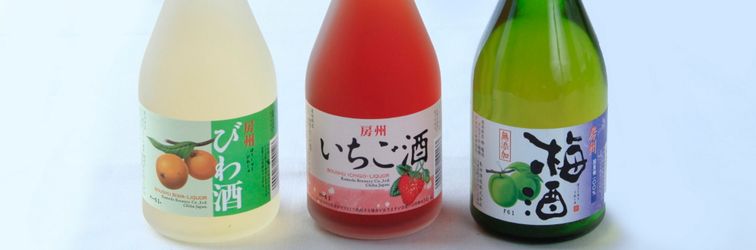 其他 Kishu Tetsudo Boso Shirahama Hotel