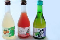 其他 Kishu Tetsudo Boso Shirahama Hotel