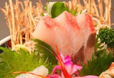 Others 5 Atsumi Ryoen