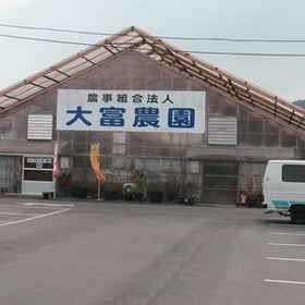 ホテルエルムレジデンシー 1, 田京駅ホテル