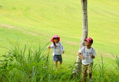 기타 5 Maiko Kogen Lodge