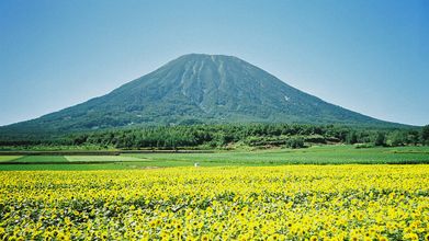 Lainnya 4 Niseko Central Deep Tracks