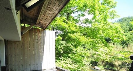 Others 2 Sendai Akiu Onsen Annex Ren