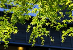 Others 4 Hakone Yumoto Onsen Kisenso