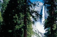 Bedroom Yosemite Valley Lodge (former Yosemite Lodge At The Falls)