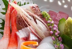 其他 2 Tokiwa Bekkan