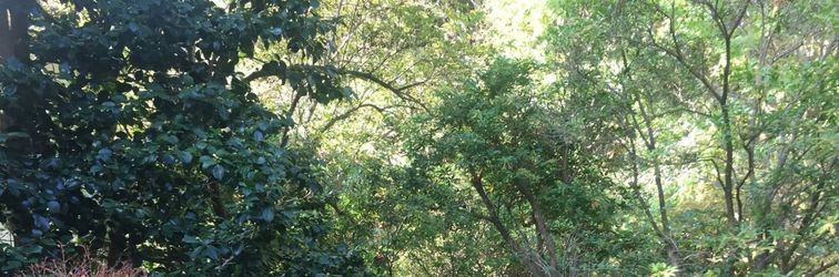 기타 Trust Maison Sengokuhara