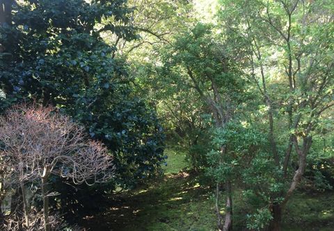 기타 Trust Maison Sengokuhara