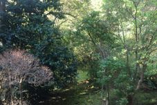 기타 Trust Maison Sengokuhara