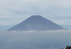 기타 3 Trust Maison Sengokuhara