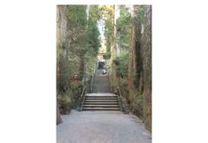 기타 6 Trust Maison Sengokuhara