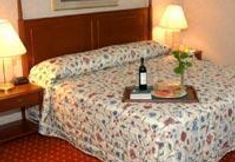 Kamar Tidur 4 Ramada Plaza Jfk Airport