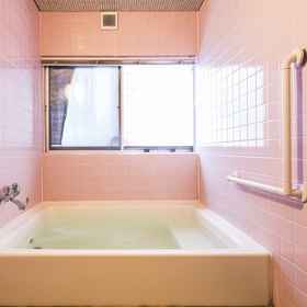 Hashimotoya 1, Hotel Namerikawa-shi